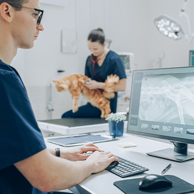 Is Your Vet Practice's Technology House-Trained?