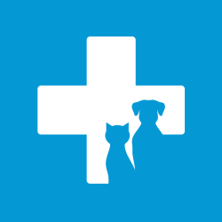 Veterinary IT